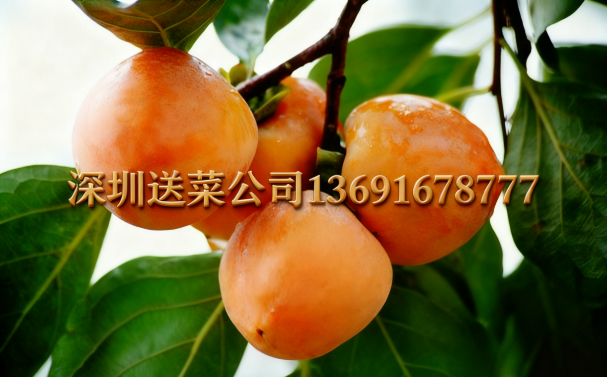 柿子選品不踩坑！惠州蔬菜配送公司為果農(nóng)解析3個(gè)優(yōu)質(zhì)品種的核心優(yōu)勢(shì)