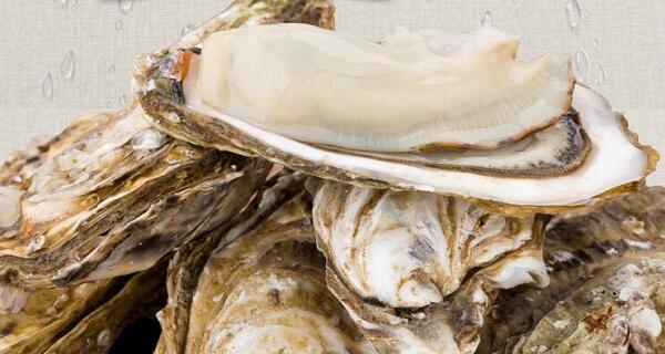 1760354583.jpg muli.jpg