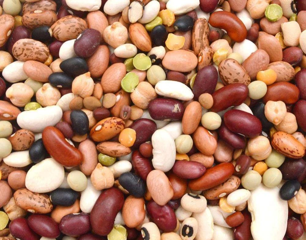 ?深圳蔬菜配送公司科普：為什么發(fā)芽的豆類不宜食用？